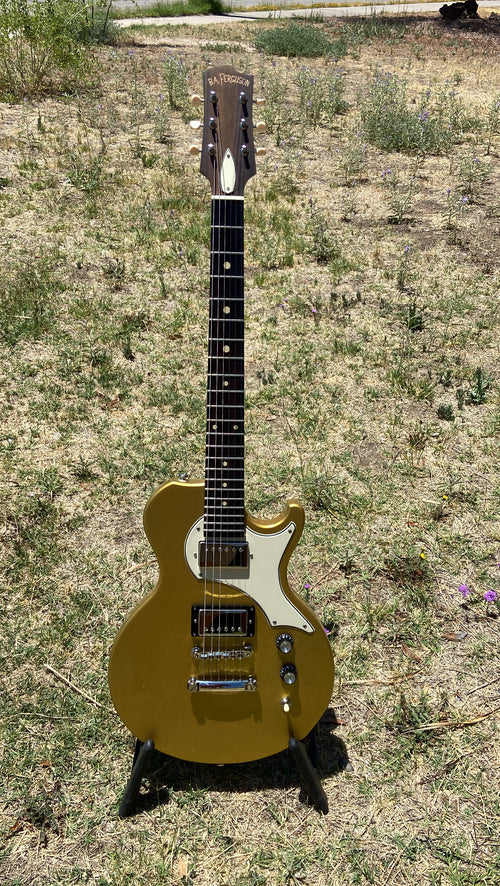 Walker Model
